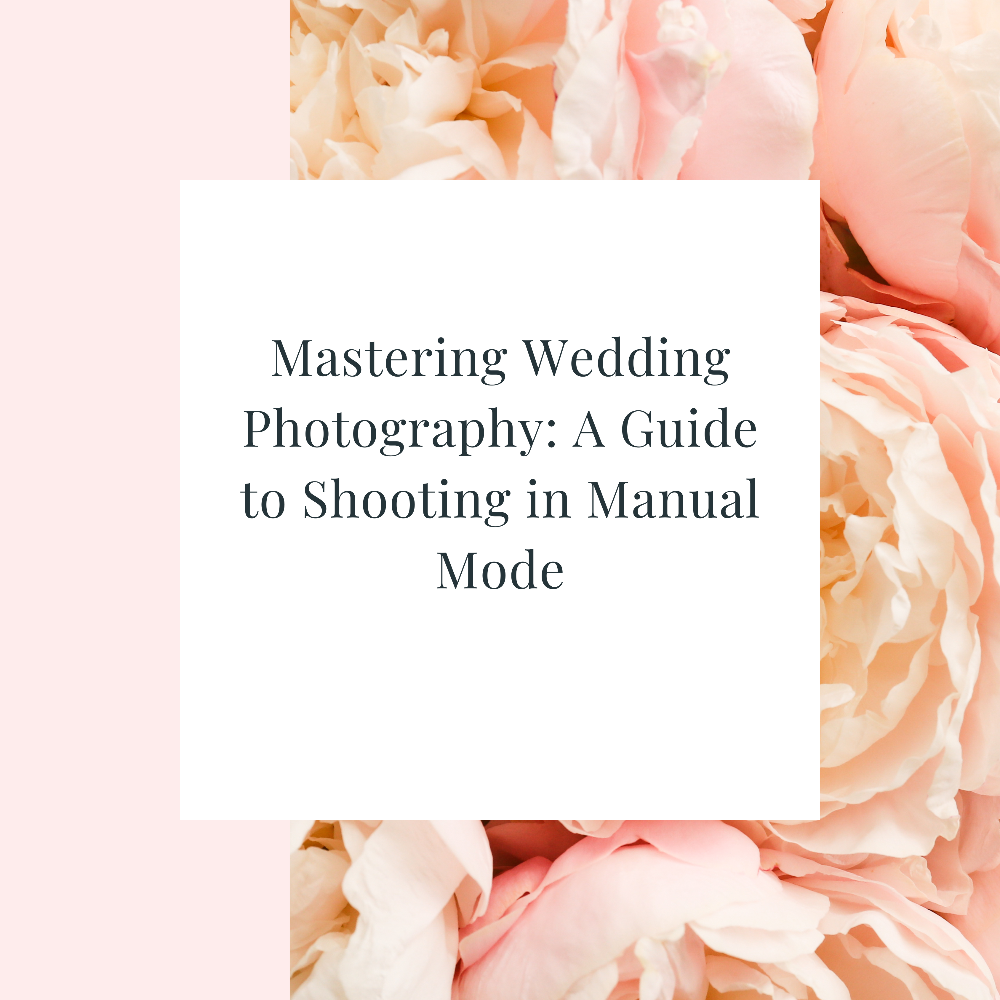 Wedding Photographer, Photographing in manual settings, Atlanta wedding photographer