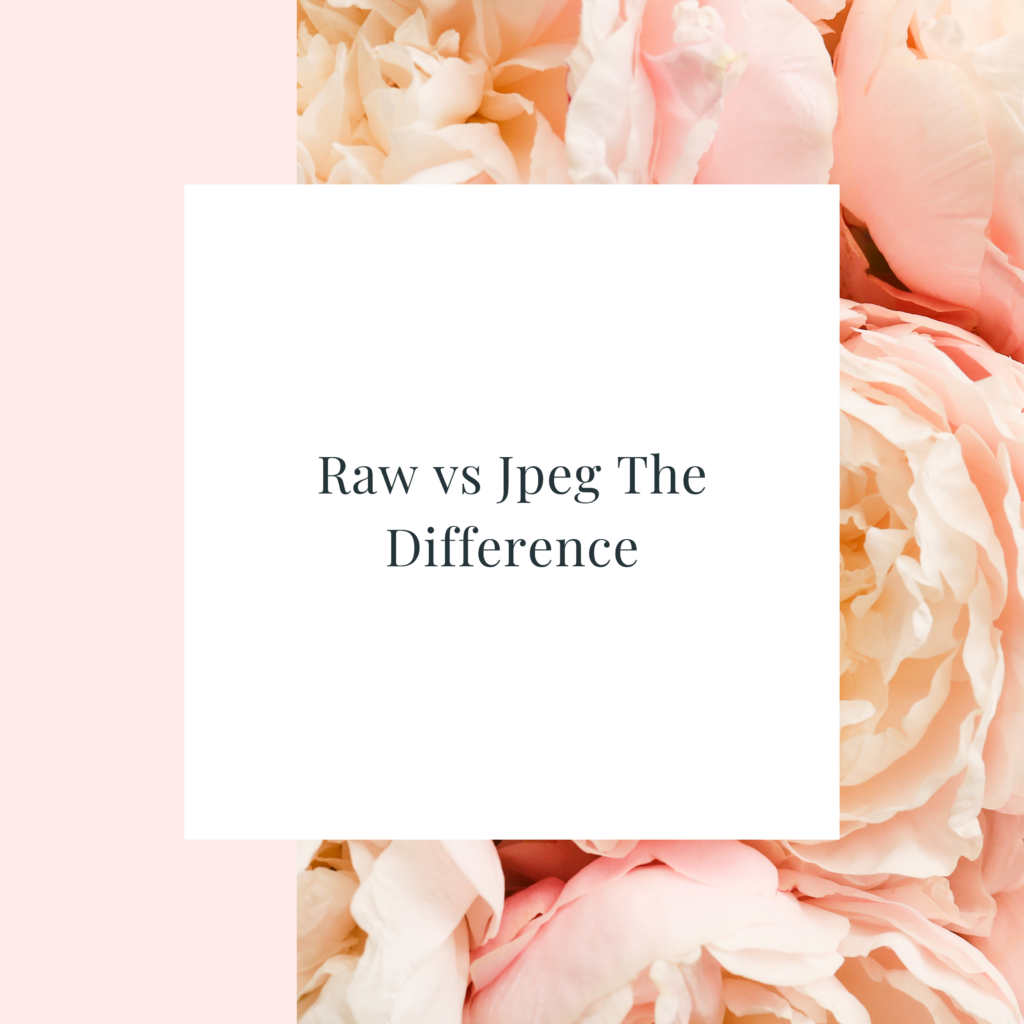 Raw vs Jpeg The Difference